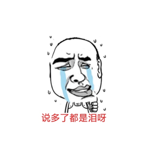 烟台特菜狗SEO1